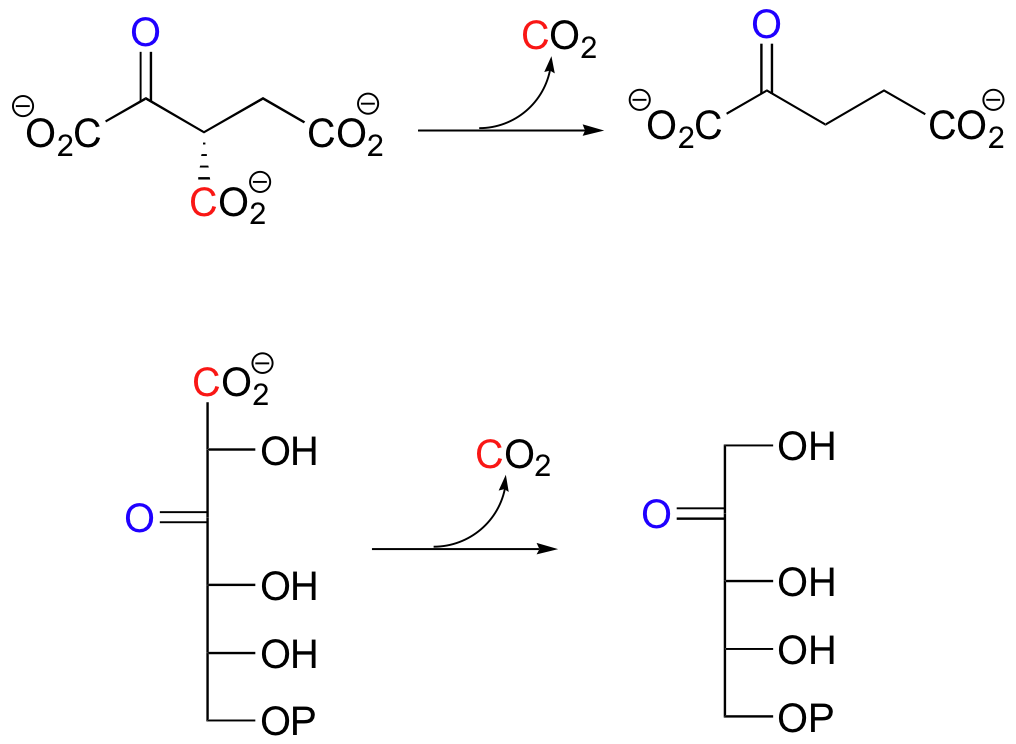 13.5: Carboxylation And Decarboxylation Reactions - Chemistry LibreTexts