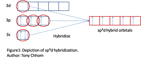 Figure 1.png