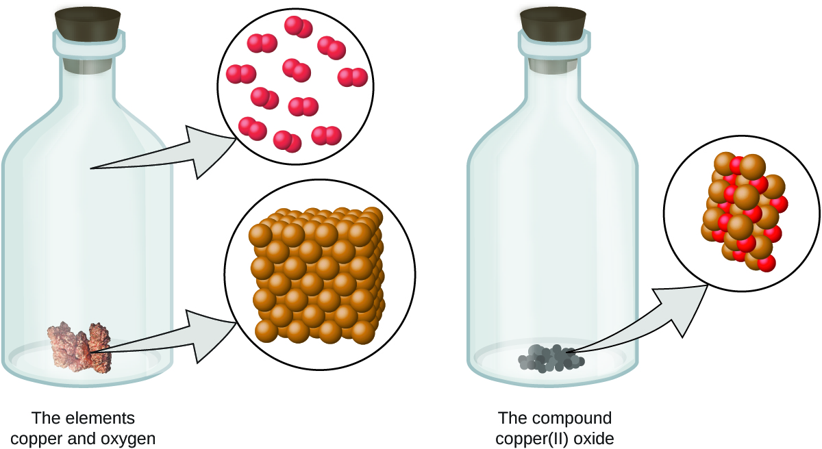 The left stoppered bottle contains copper and oxygen. There is a callout which shows that copper is made up of many sphere-shaped atoms. The atoms are densely organized. The open space of the bottle contains oxygen gas, which is made up of bonded pairs of oxygen atoms that are evenly spaced. The right stoppered bottle shows the compound copper two oxide. A callout from the powder shows a molecule of copper two oxide, which contains copper atoms that are clustered together with an equal number of oxygen atoms.