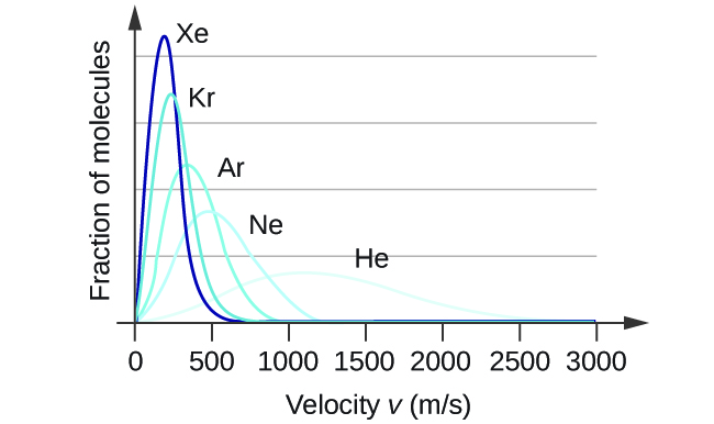 A graph is shown with four positively or right-skewed curves of varying heights. The horizontal axis is labeled, â€œVelocity v ( m divided by s ).â€ This axis is marked by increments of 500 beginning at 0 and extending up to 3000. The vertical axis is labeled, â€œFraction of molecules.â€ The tallest and narrowest of these curves is labeled, â€œX e.â€ Its right end appears to touch the horizontal axis around 600 m per s. It is followed by a slightly wider curve which is labeled, â€œA r,â€ that is about half the height of the initial curve. Its right end appears to touch the horizontal axis around 900 m per s. The third curve is significantly wider and just over a third of the height of the initial curve. It is labeled, â€œN e.â€ Its right end appears to touch the horizontal axis around 1200 m per s. The final curve is only about one fourth the height of the initial curve. It is much wider than the others, so much so that its right reaches the horizontal axis around 2500 m per s. This curve is labeled, â€œH e.â€