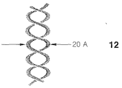 Roberts and Caserio Screenshot 25-13-1.png