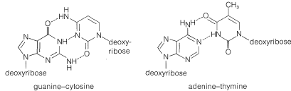 Roberts and Caserio Screenshot 25-13-10.png
