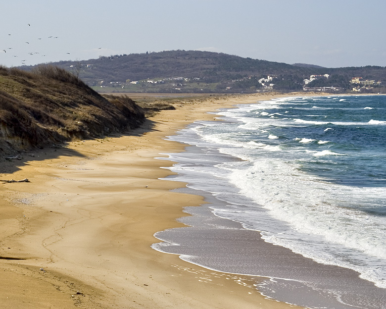 The shore of a beach is shown.