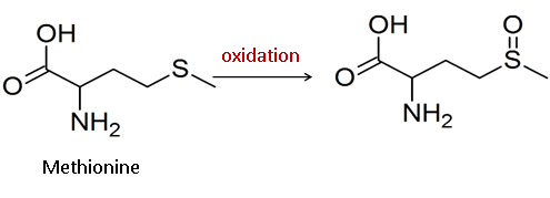 methionine_ oxidation.png