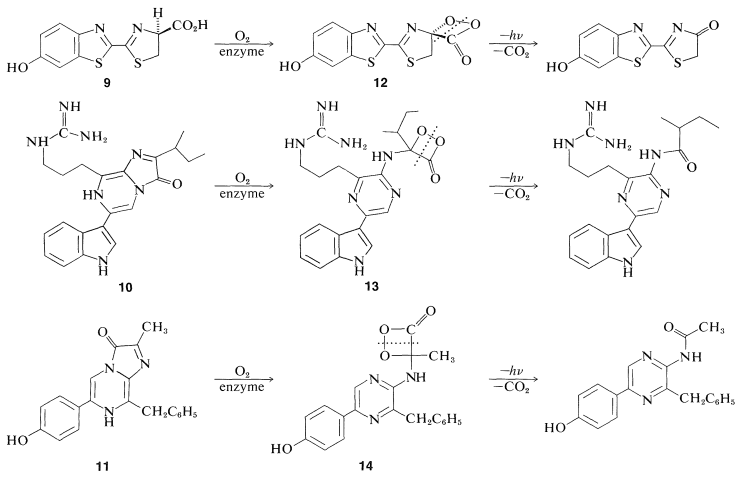 Roberts and Caserio Screenshot 28-3-6.png