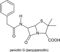 structure of penicillin G