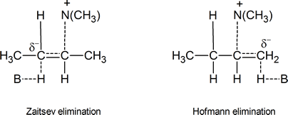 two E2 transition states of (1-methylpropyl)trimethylammonium hydroxide
