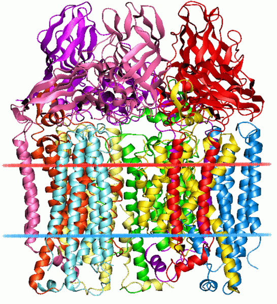 MMO crystal structure wikipedia.gif