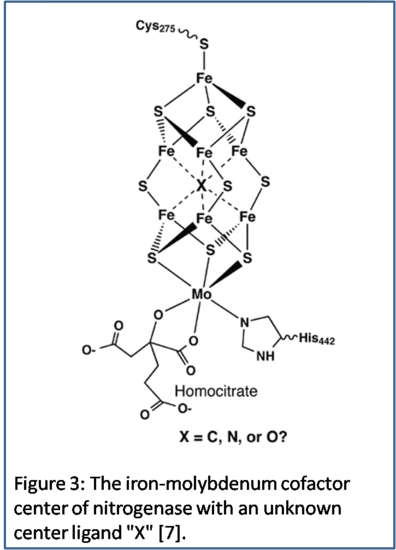 Molecule structure.png