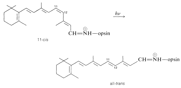 Roberts and Caserio Screenshot 28-7-4.png