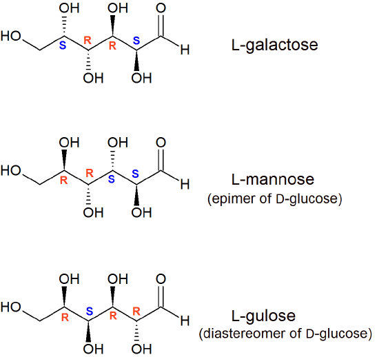 galactose structure of fischer Chemistry  LibreTexts 5.6 Diastereomers