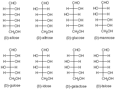 Fischer projections of D-allose, D-altrose, D-glucose, D-mannose, D-gulose, D-idose, D-galactose, and D-talose.
