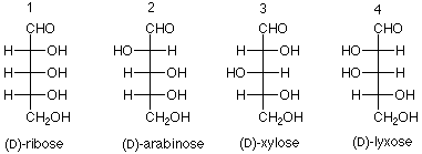 Fischer projections of D-ribose, D-arabinose, D-xylose, and D-lyxose.
