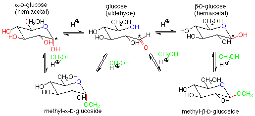 La glucosa alfa D reacciona con H+ para formar glucosa y con H+ nuevamente para formar glucosa Beta D. La glucosa alfa D reacciona con metanol y H+ para formar metil-alfa-D-glucósido. La glucosa beta D reacciona con metanol y H+ para formar metil-beta-D-glucósido.