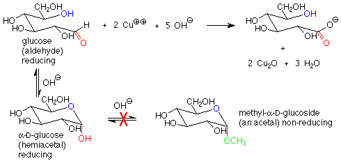 Alfa-D-Glucosa (Un hemiacetal reductor) no reacciona con OH- para formar metil-alfa-D-glucósido (A acetal no reductor).