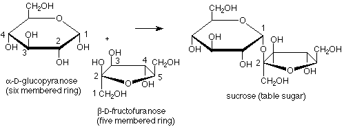 La alfa-D-glucopiranosa (anillo de seis miembros) reacciona con beta-D-fructofuranosa (anillo de cinco miembros) para formar sacarosa (azúcar de mesa).