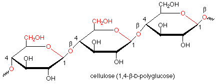 Cellulose (1,4-beta-D-polyglucose)