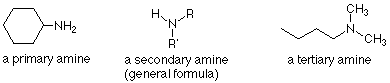 Una amina primaria: NH2 unida a ciclohexano. Una amina secundaria: NHRR'. Una amina terciaria: N unida a dos grupos metilo y un butano.
