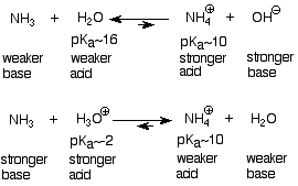 NH3 (base más débil) reacciona con agua (ácido más débil con pKa 16) reacciona con NH4+ (ácido más fuerte con pKa 10) y OH- (base más fuerte) en una reacción reversible favorecida hacia atrás. NH3 (base más fuerte) reacciona con H3O+ (ácido más fuerte con pKa 2) para formar NH4+ (ácido más débil con pKa 10) y agua (ácido más débil) en una reacción reversible favorecida hacia adelante.