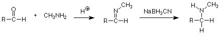 Un aldehído reacciona con metilamina y H+ para formar RCHNCH3 que reacciona con NaBH3CN para formar RCH2NHCH3.