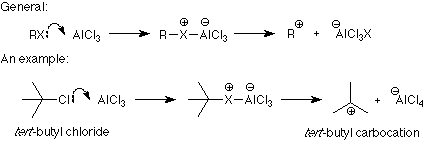In general, RX attacks AlCl3 to form R(X+)(Al-)Cl3 which then becomes R+ and XCl3Al-. An example is tert-butyl chloride reacting with AlCl3 to form a tert-butyl carbocation and Cl4Al-.