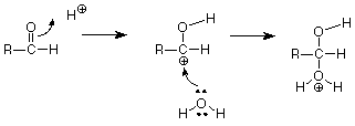The electrons from the oxygen of the water attacks the carbocation forming RCH(OH2+)OH.