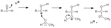 Acid catalyzed addition of methanol to an aldehyde results in an acetal.