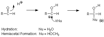 En una reacción de hidratación, el nucleófilo es agua, en la formación de un hemiacetal, el nucleófilo es HOCH3.