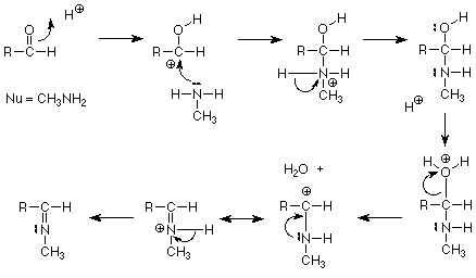 The oxygen of aldehyde attacks a proton forming a carbocation. NH2CH3 attacks the carbocation and forms N+ in the molecule and pushes one of the hydrogens attached to it off. The hydrogen that was pushed off attacks the OH and leaves the molecule as water resulting in a carbocation. The lone pair on nitrogen forms a double bond with the carbon, making the nitrogen become positively charged and push off another nitrogen.