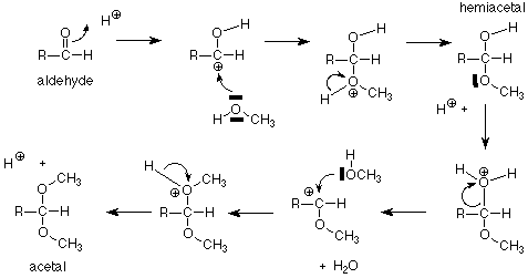El oxígeno del aldehído ataca un protón para formar OH y un carbocatión. El oxígeno de un HOCH3 ataca el carbocatión dando como resultado un ion oxonio que hace que el hidrógeno salga formando un hemiacetal. El OH del hemiacetal se convierte en H2O+ que luego sale permitiendo que un HOCH3 ataque el carbocatión y empuje el hidrógeno extra, resultando en un acetal.