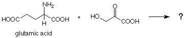 El ácido glutámico reacciona con el ácido beta-hidroxipirúvico.