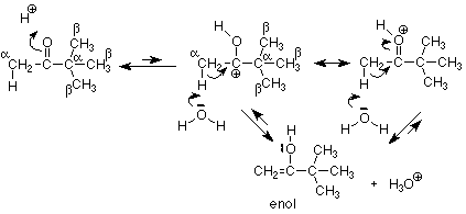 El oxígeno carbonílico ataca un ion H+ para formar OH con un carbocatión. El oxígeno de una molécula de agua ataca el carbono alfa ya que el carbono forma un doble enlace con el carbocatión. Esto forma un enol y H3O+.