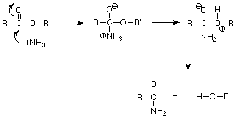 NH3 attacks the carbonyl carbon of an ester resulting in RC(NH3)+(O-)OR'. NH3+ donates a hydrogen to the oxygen of the ester. The products are RCONH2 and HOR'.