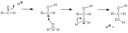 RCHO reacciona con un protón para formar RCHOH+ que luego reacciona con agua para formar RCHOHOH2+ que luego pierde un protón para formar RCH (OH) 2.
