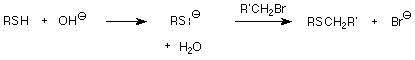 RSH reacciona con OH- para formar RS- y el agua con luego reacciona con R'CH2Br para formar RSCH2R' y Br-.