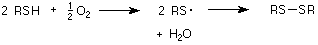 2 RSH reacciona con 1/2 O2 para formar 2 radicales RS y el agua con luego reacciona para formar RSSR.