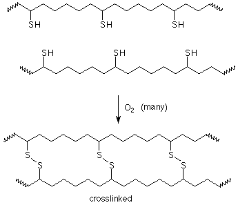 Dos cadenas largas de carbono con grupos tiol reaccionan con muchas moléculas de oxígeno para reticular las dos cadenas.