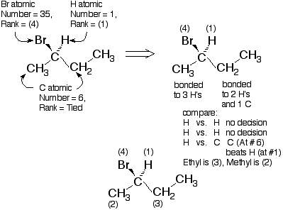 2-bromobutane with rankings. Bromine has an atomic number of 35 and is rank 4. Hydrogen has the atomic number 1 and is rank 1. The carbons bonded to the carbon with bromine has the atomic number six and have a tied rank.