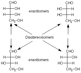 Fischer projections showing diastereoisomers and enantiomers of a molecule. Mirror images are enantiomers while mirroring single stereogenic carbons are diastereoisomers.