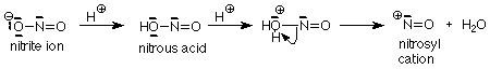 El ion nitrito reacciona con el ácido para formar ácido nitroso que reacciona con más ácido para formar catión nitrosil y agua.