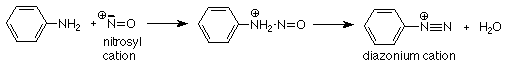 Phenylamine reacts with a nitrosyl cation to form an N-N bond. The two hydrogens of the first nitrogen are lost to form a N-N triple bond of the diazonium cation. Water is formed as a side product.