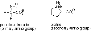 Estructuras de un aminoácido genérico (un grupo amino primario) y de prolina (un grupo amino secundario).