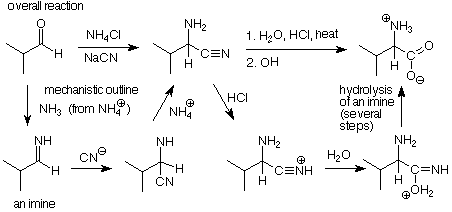 Síntesis de un aminoácido.