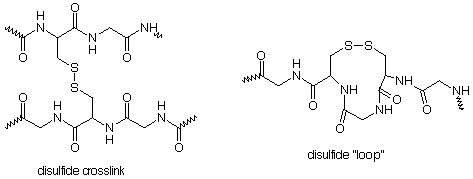 A long chain of peptides is connected to another peptide chain through a S-S link between them. Two sulphurs in a single chain can also form a bond to create a disulphide loop in the polypeptide.