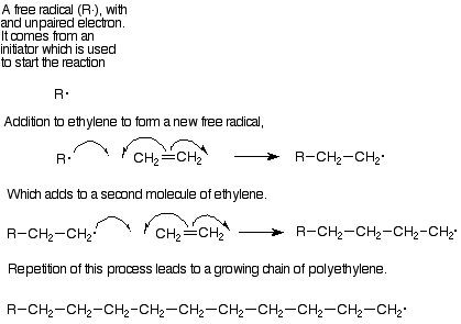 A free radical with an unpaired electron. It comes from an initiator which is used to start the reaction. When the radical is added to ethylene, a new radical is formed which adds to a second molecule of ethylene. Repetition of this process leads to a growing chain of polyethylene.