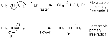 El propeno reacciona más rápido con un radical bromo y se somete a escisión homolítica para formar bromopropano con un radical secundario estable. El propeno reacciona más lentamente con un radical bromo para formar un radical primario menos estable en 2-bromopropano.