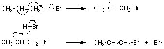 Propene reacts with a bromine radical to form bromopropane with a secondary radical. The bromopropane with a secondary radical reacts with hydrogen bromide to form bromopropane without a radical and a separate bromine radical.