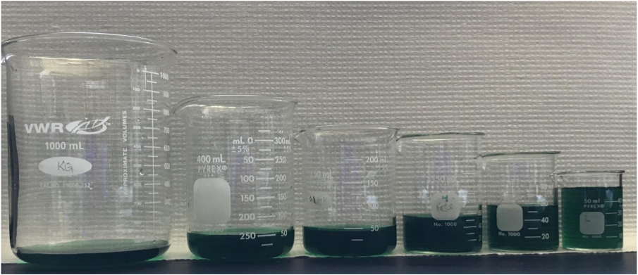 Six beakers are arranged starting from the largest on the left to the smallest on the right. All of the beakers are filled with the same amount of liquid. The liquid occupies more and more space in the beaker as we progress along to the right.