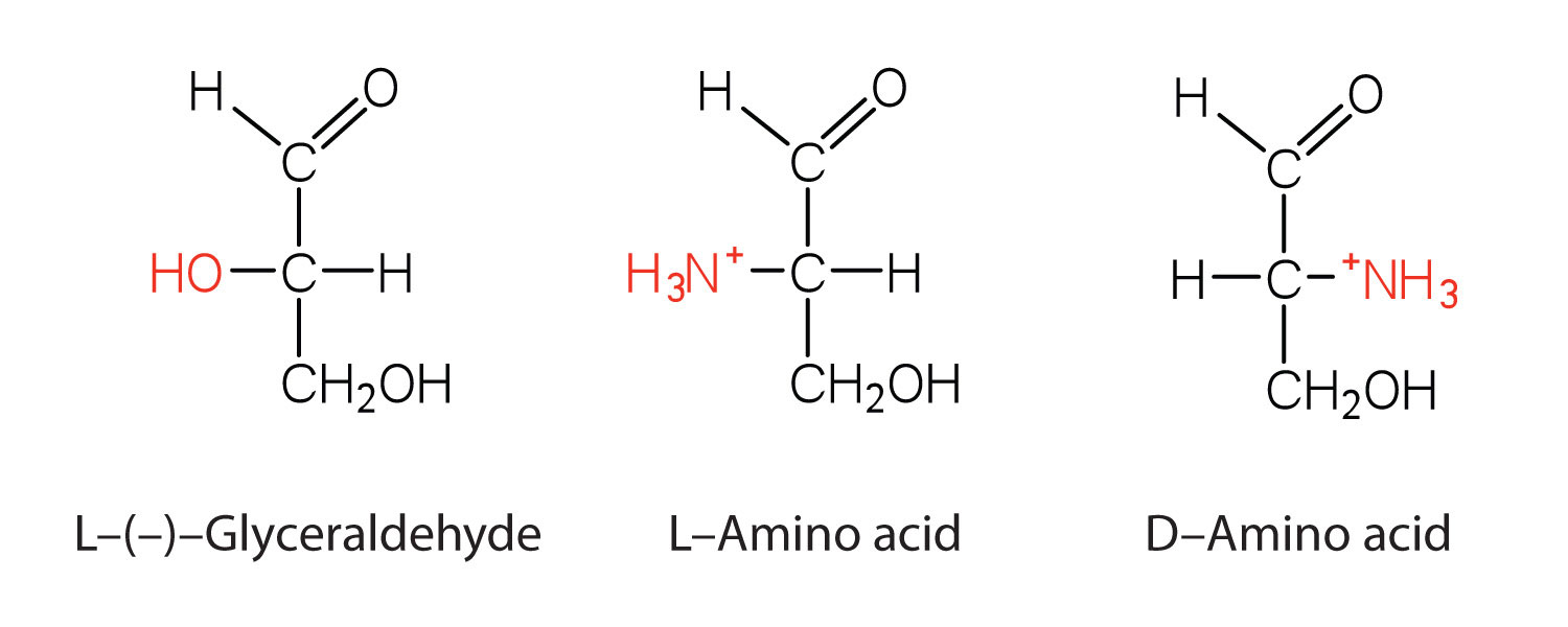 Amino Acid Characteristics Chart