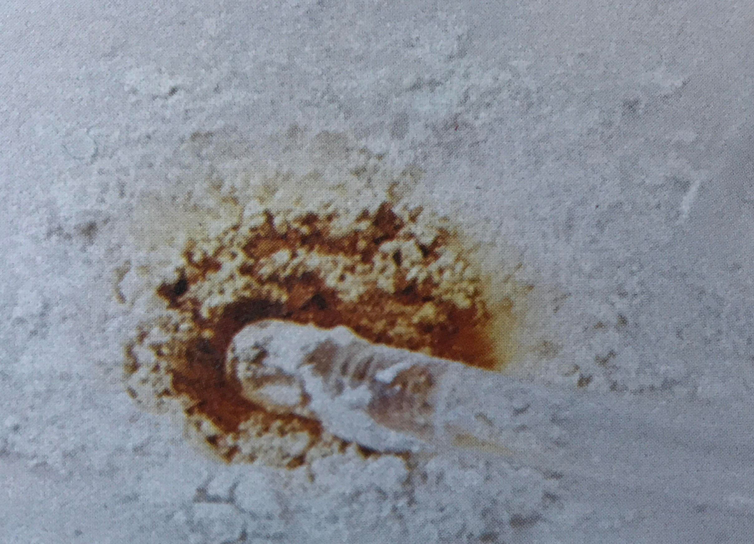 Polvo blanco disperso con residuo circular marrón en el centro.